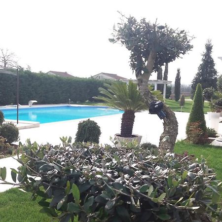 Agriturismo Sant' Isidoro Villa Anagni Eksteriør billede